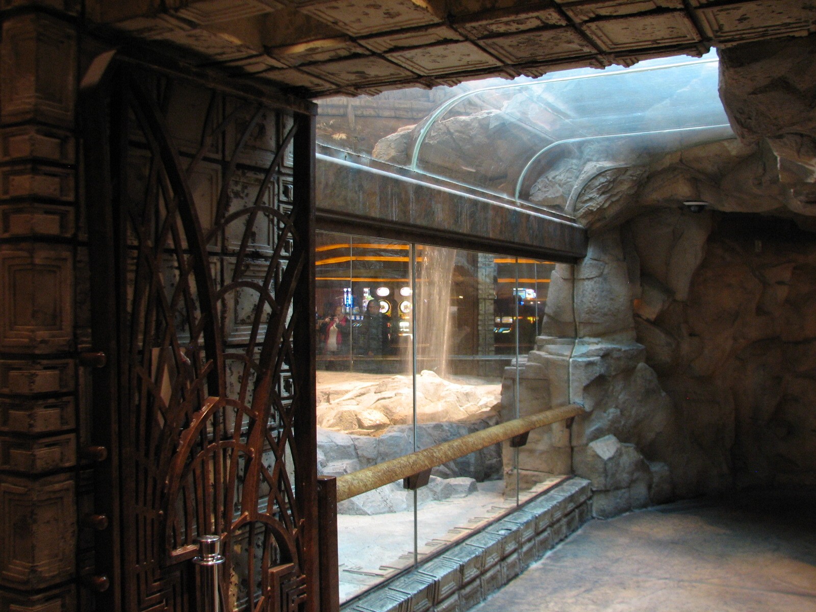 MGM Grand Lion Habitat - Viewing Tunnel