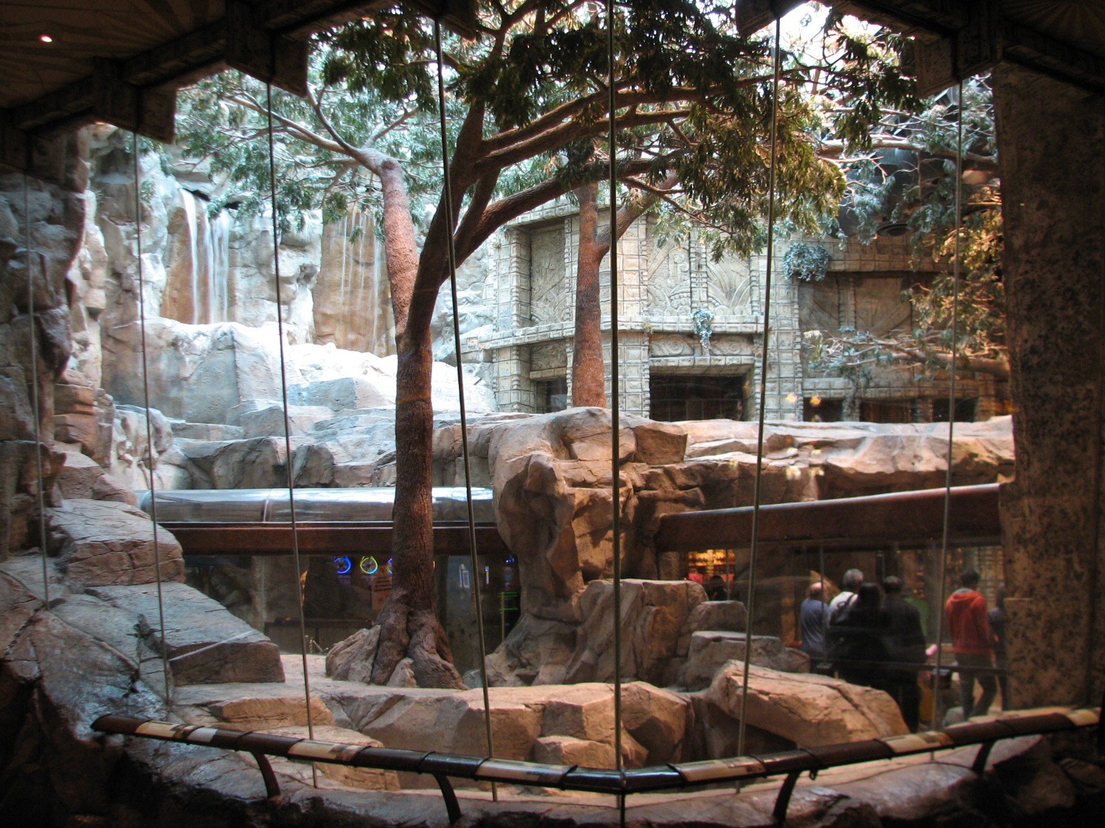 MGM Grand Lion Habitat - Viewing Window