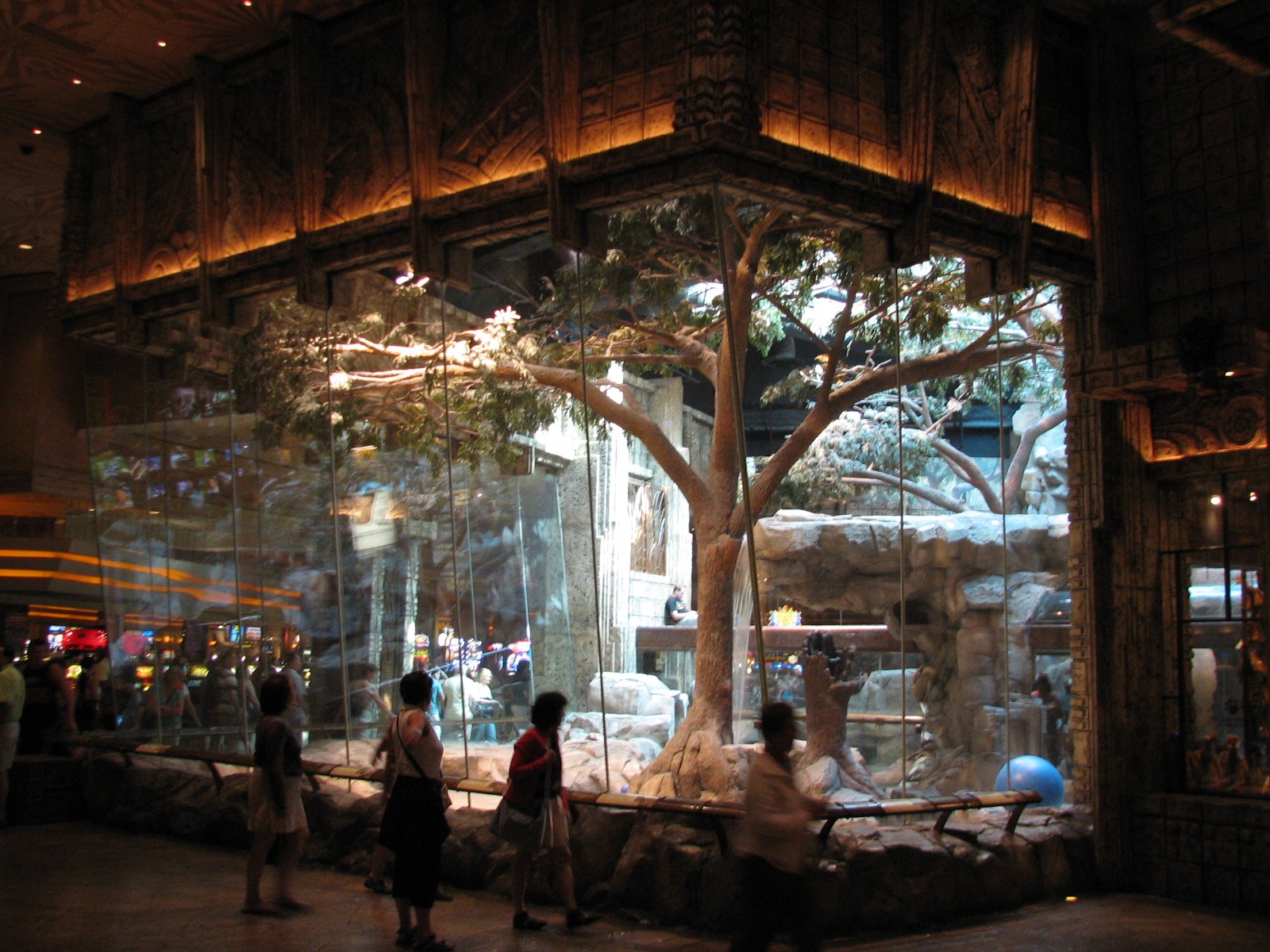 MGM Grand Lion Habitat