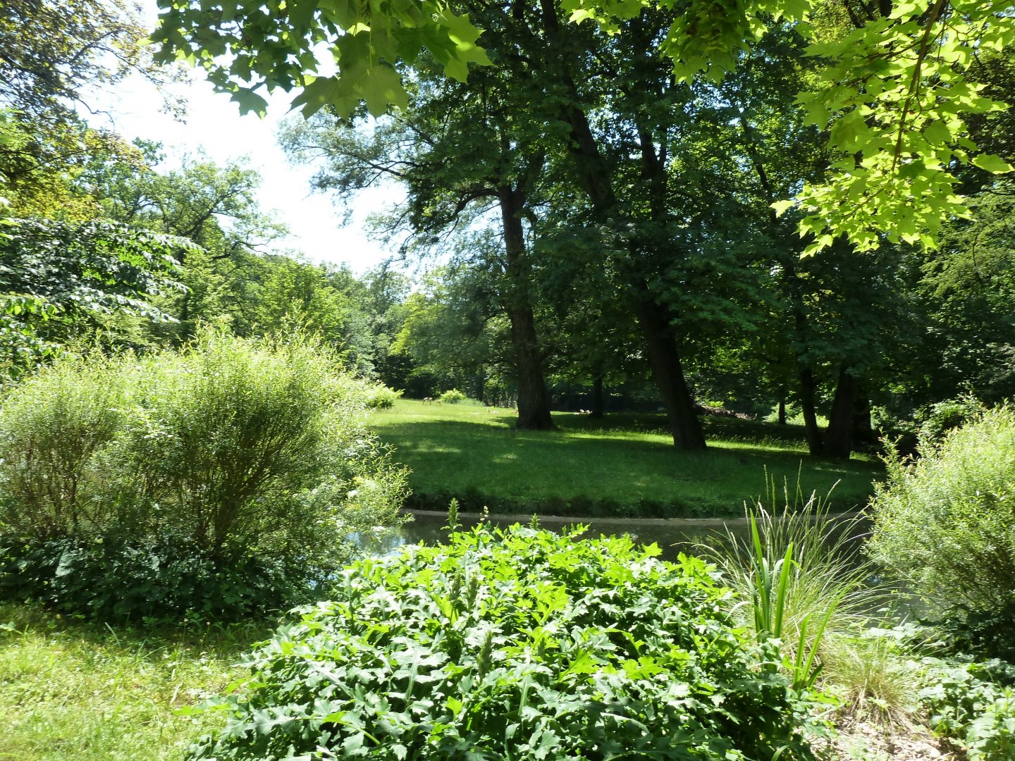 Mhor gazelle enclosure