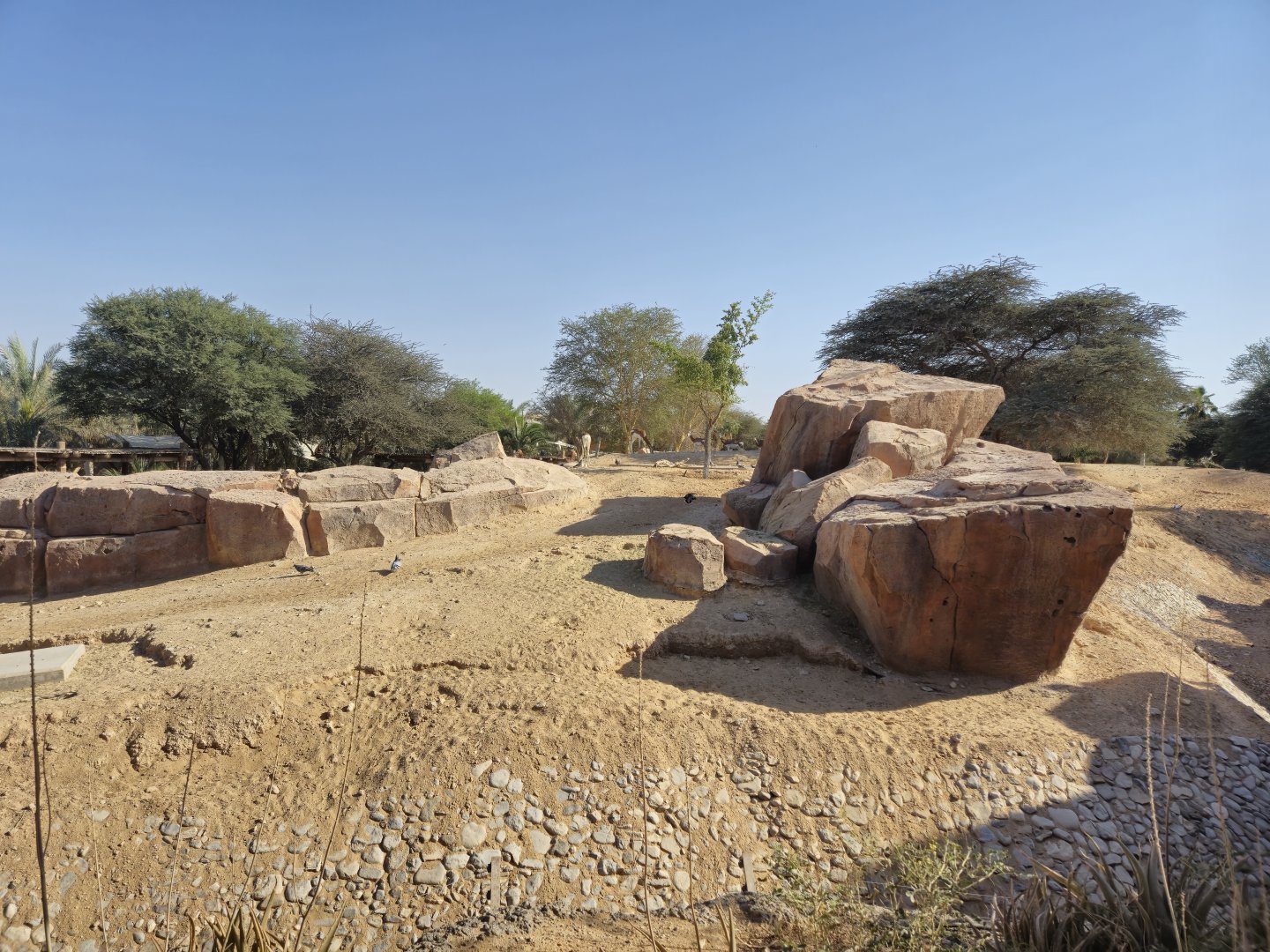 Mhor Gazelle exhibit