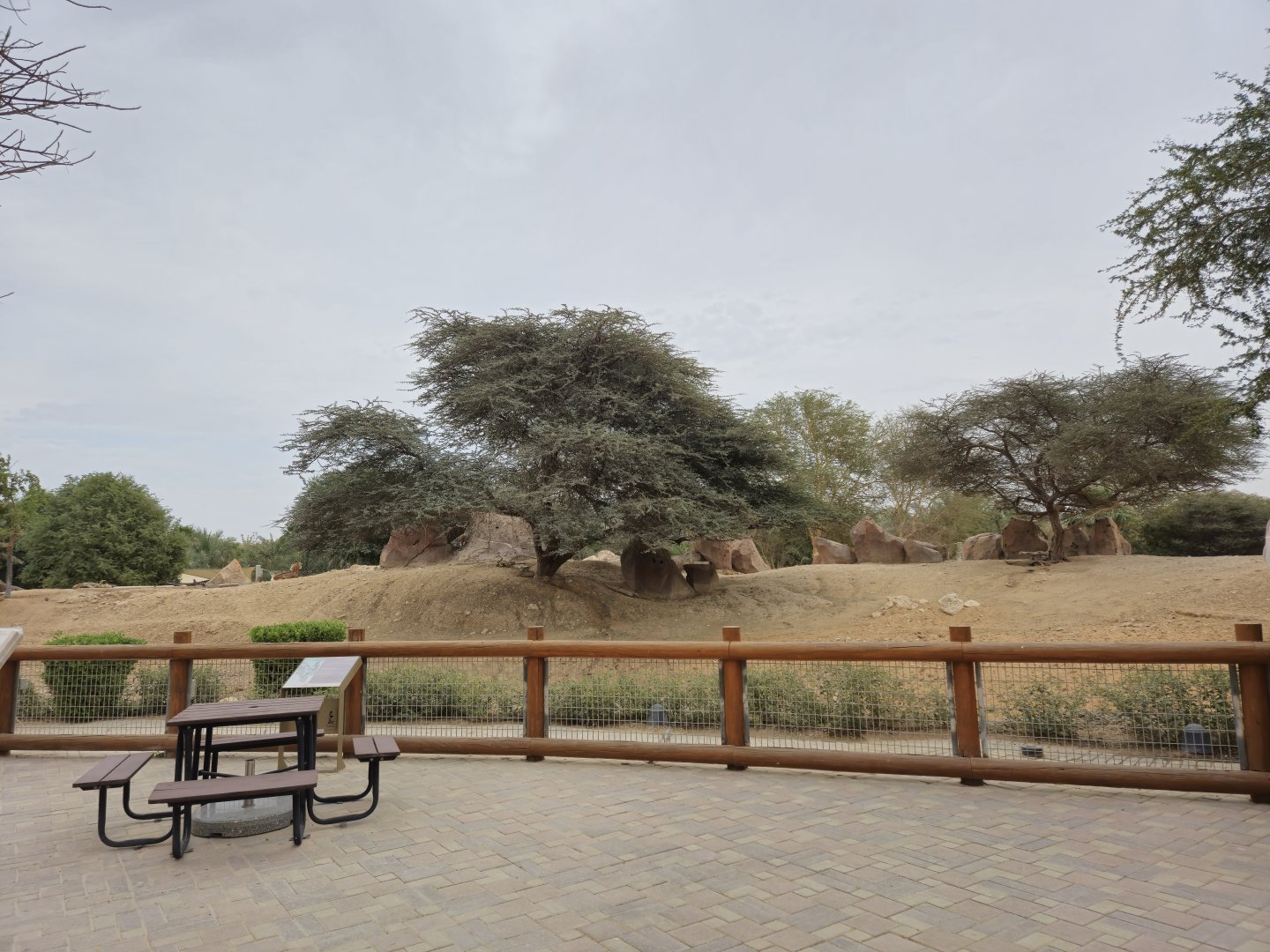 Mhor Gazelle exhibit