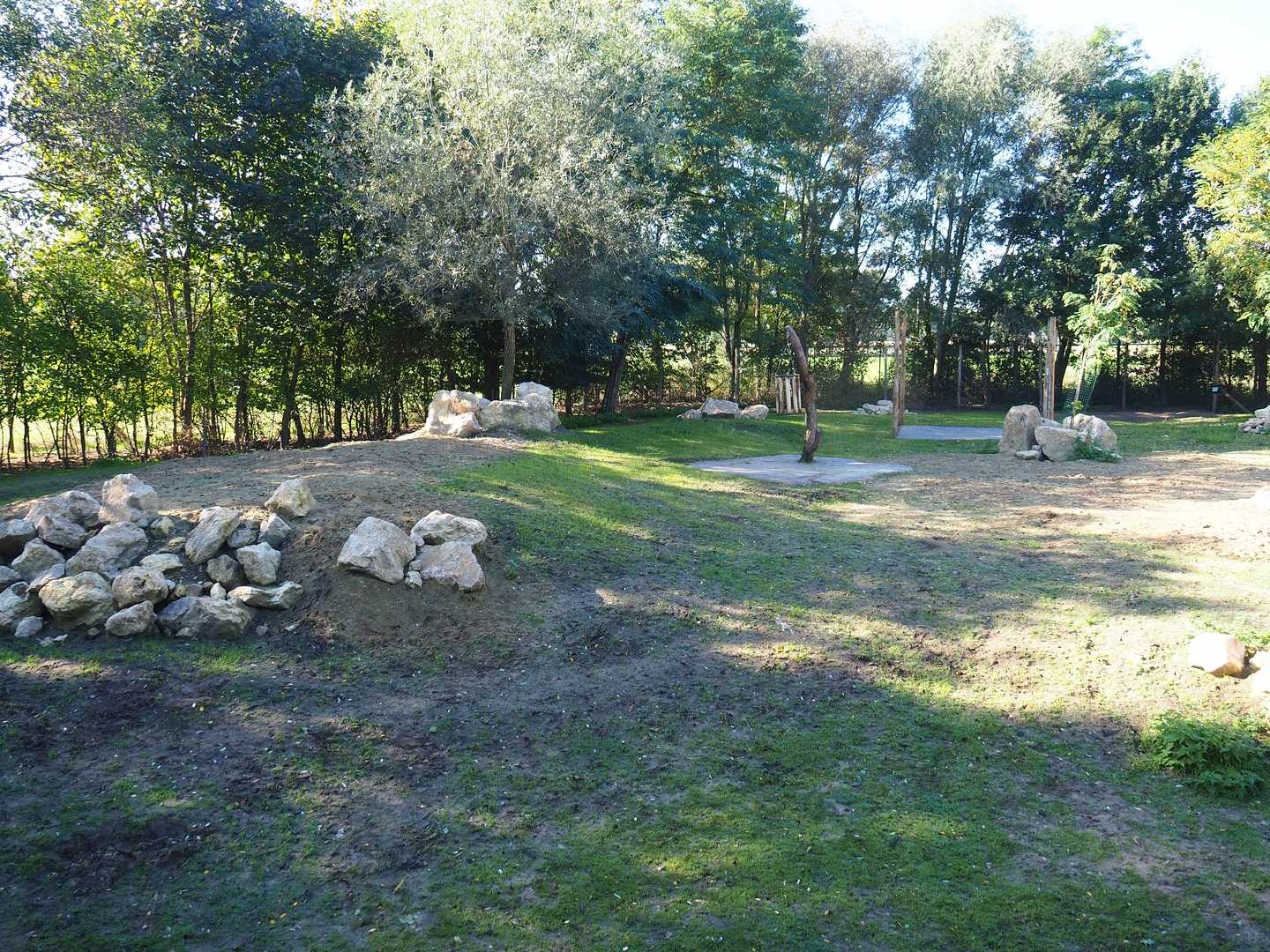 Mhorr gazelle and South African ostrich paddock, 2022-10-09