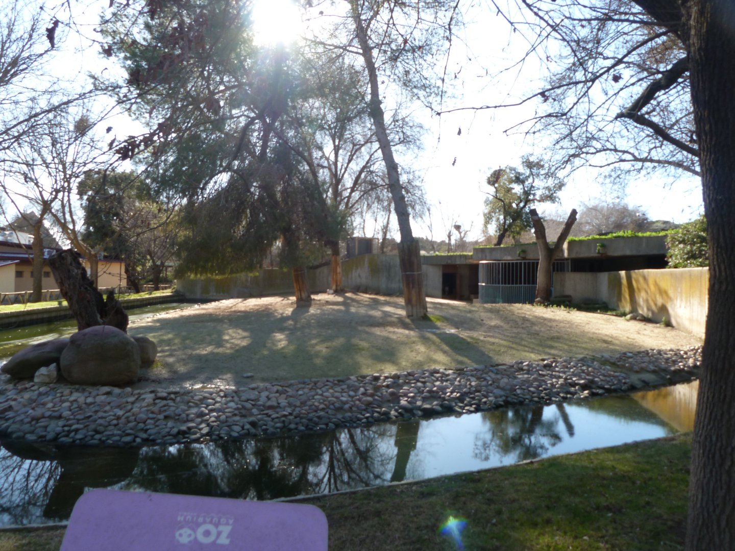 Mhorr gazelle exhibit -Zoo Aquarium de Madrid (2025)