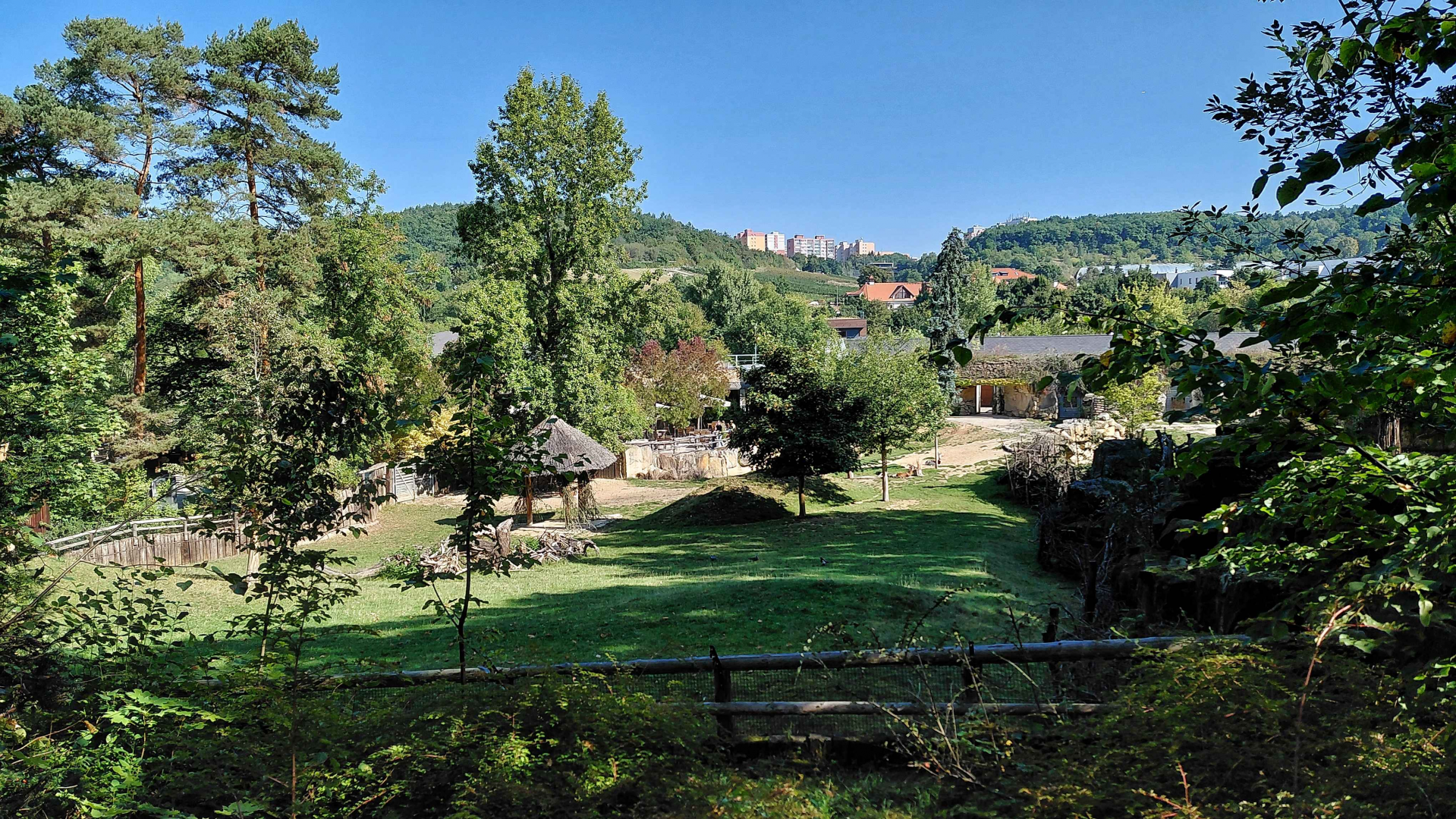 Mhorr gazelle exhibit