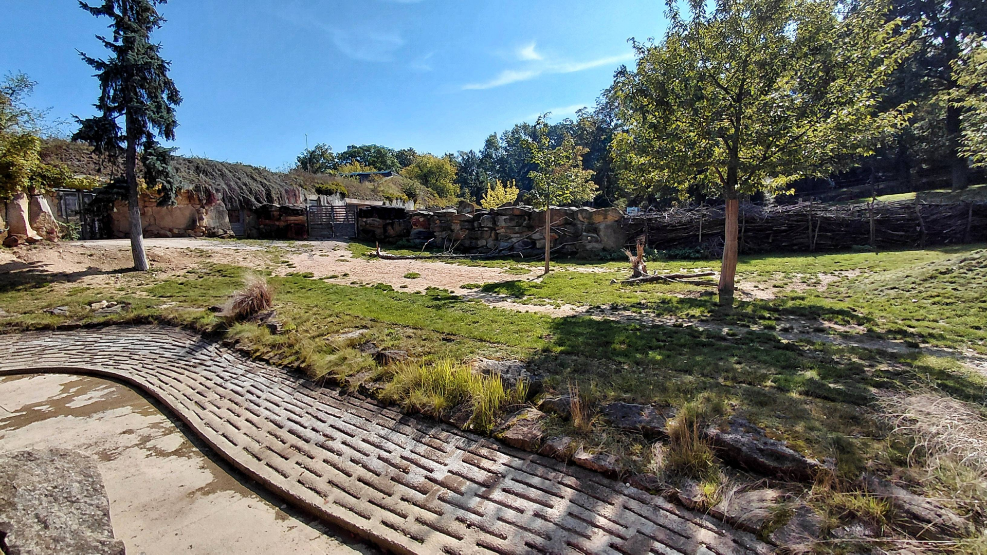 Mhorr gazelle exhibit