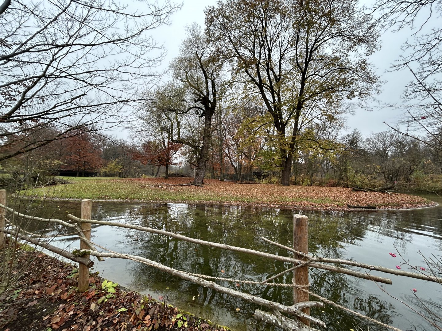Mhorr Gazelle Exhibit