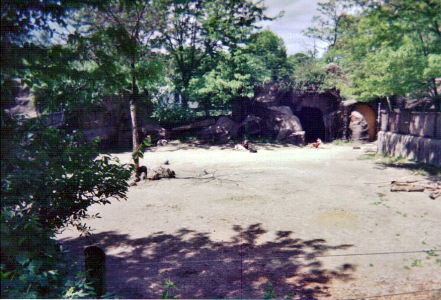 Mhorr Gazelle First Yard - May 2004