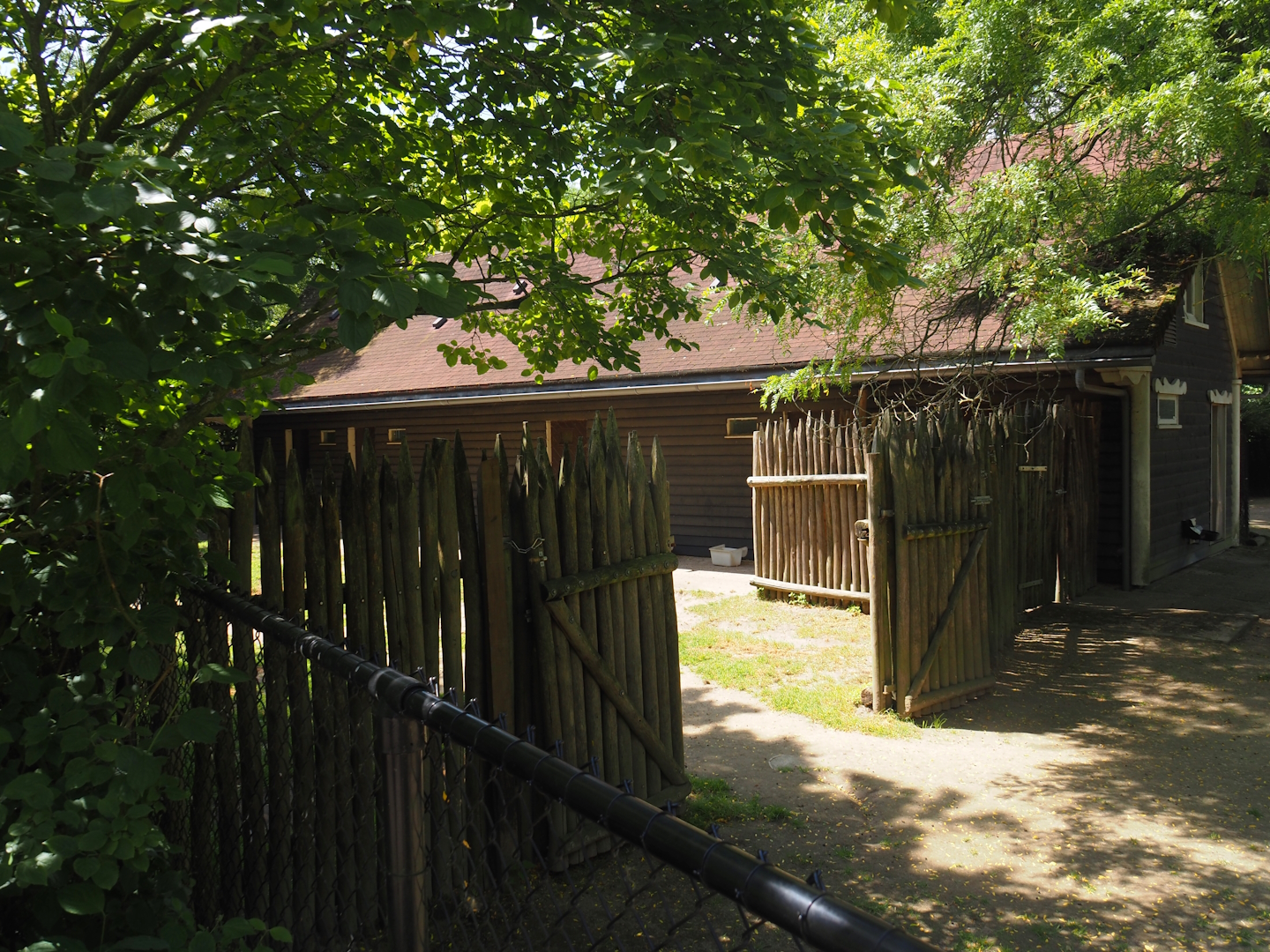 Mhorr gazelle separation paddock, 2024-06-30