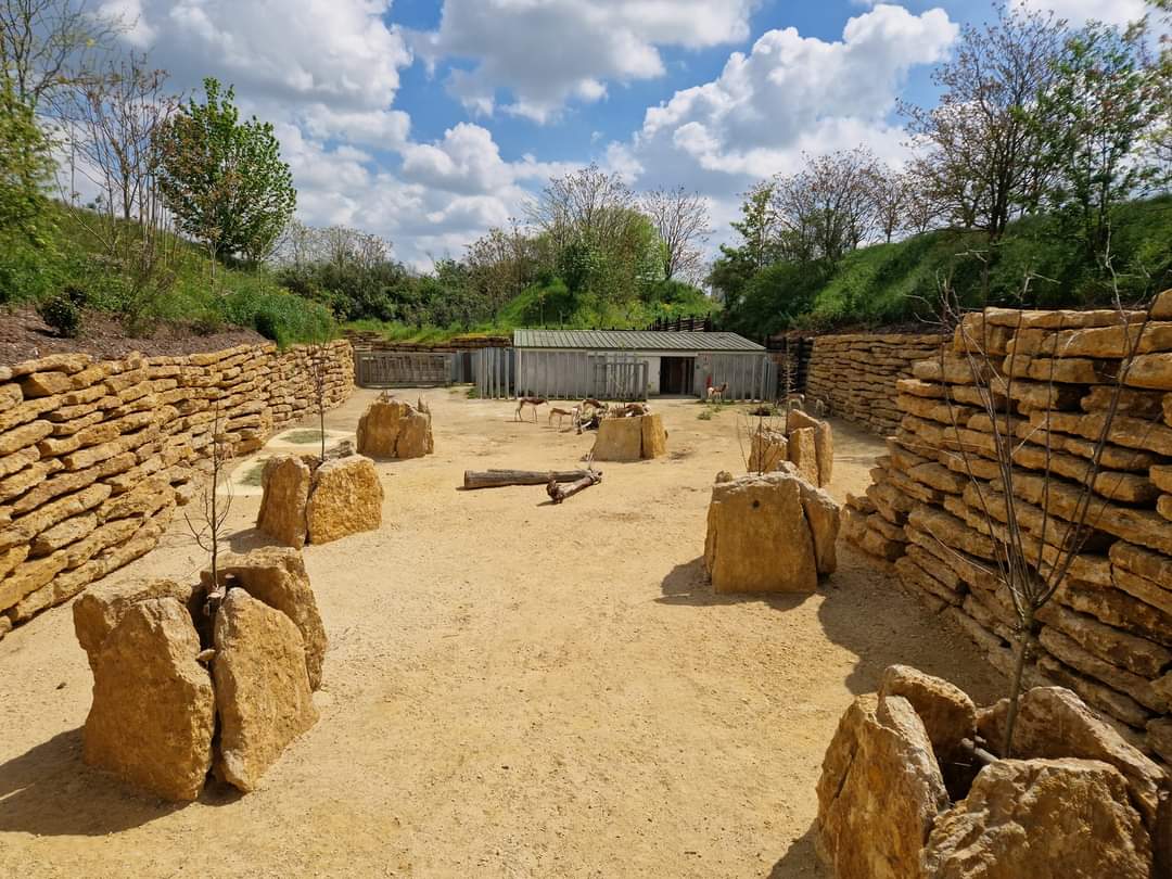 Mhorr Gazelle side exhibit