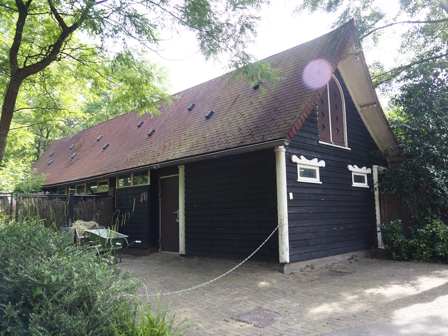 Mhorr gazelle stable, 2024-06-30