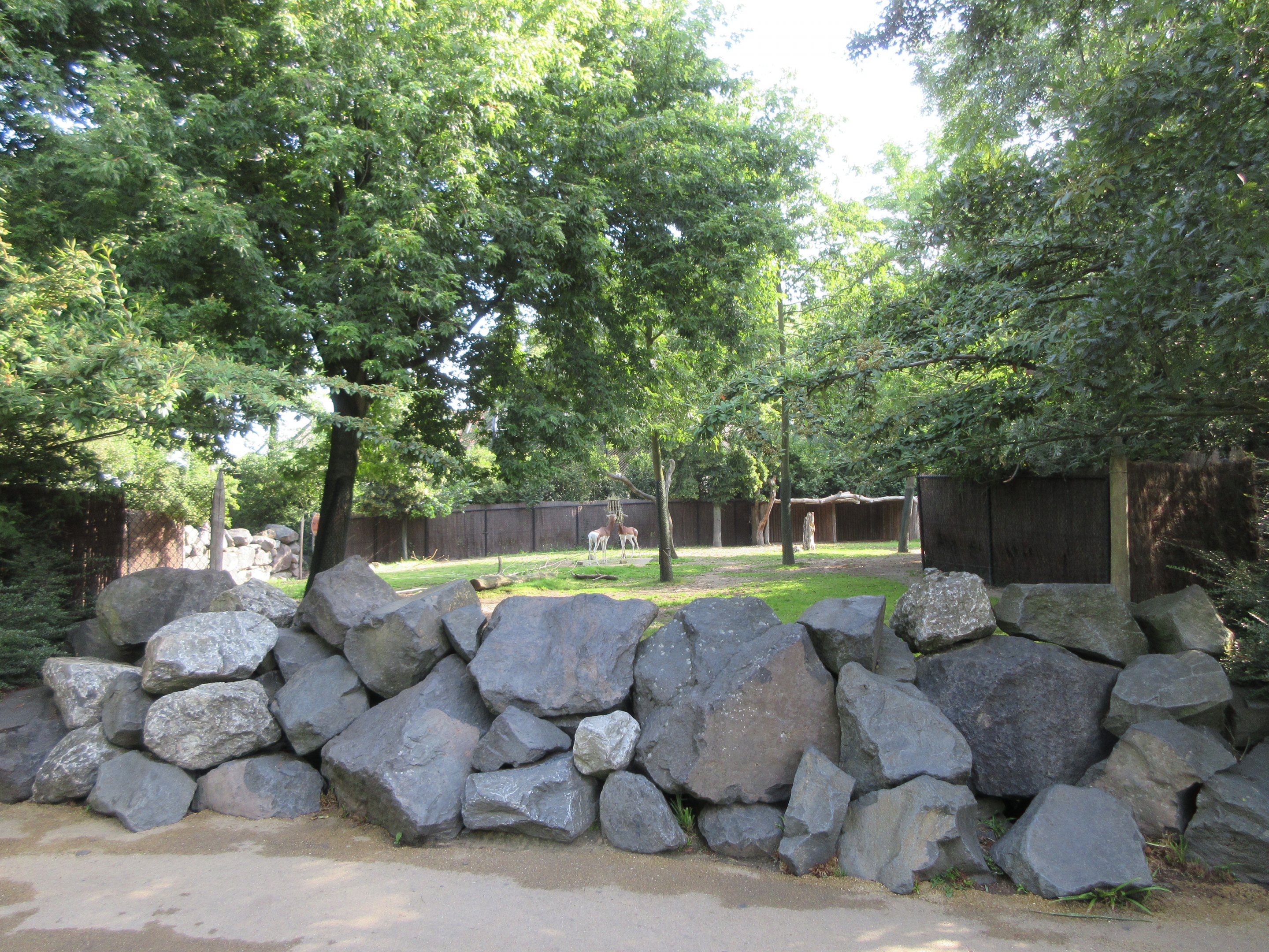 Mhorr Gazelle - visitor barrier