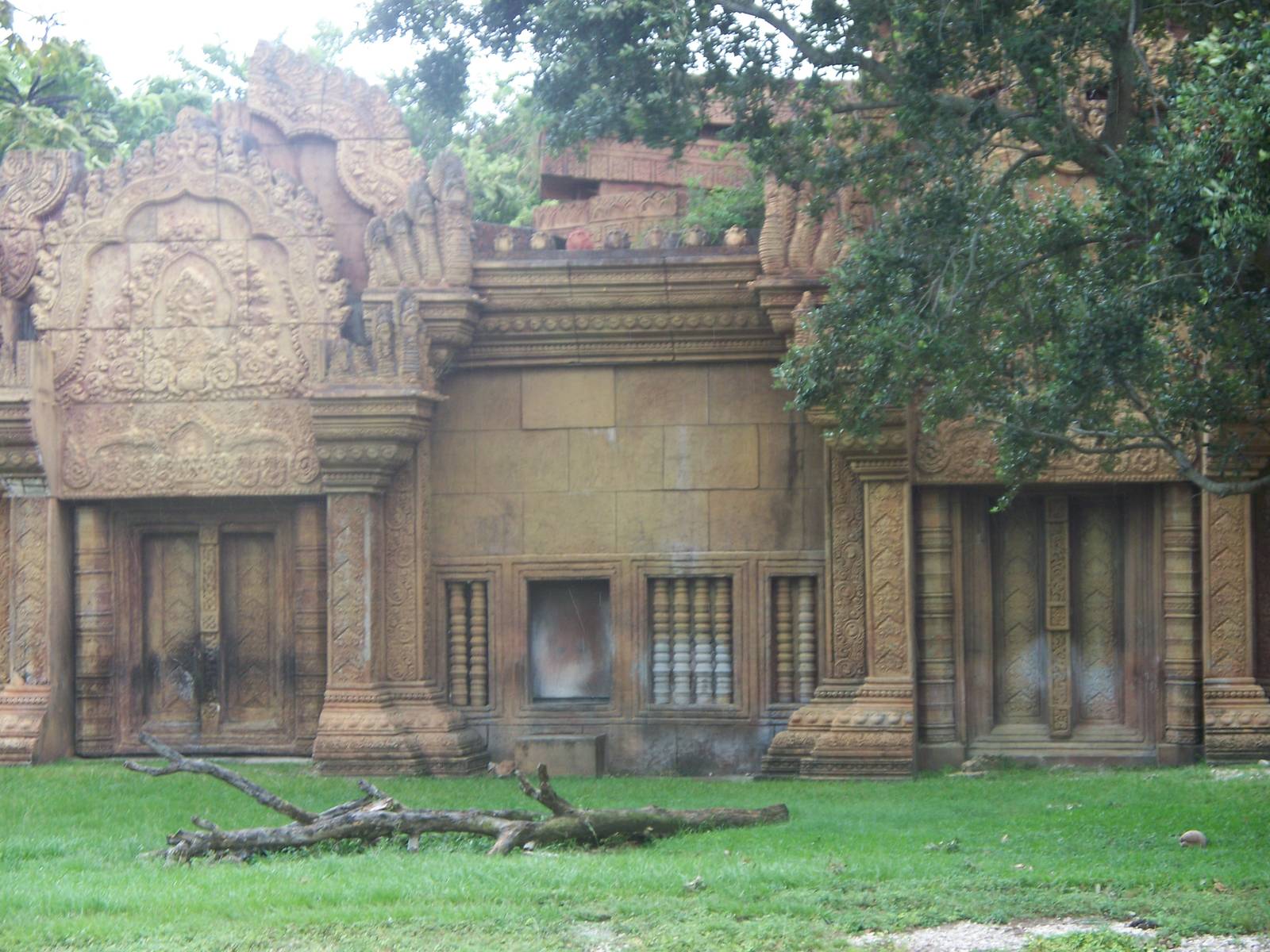 Miami - Tiger Exhibit