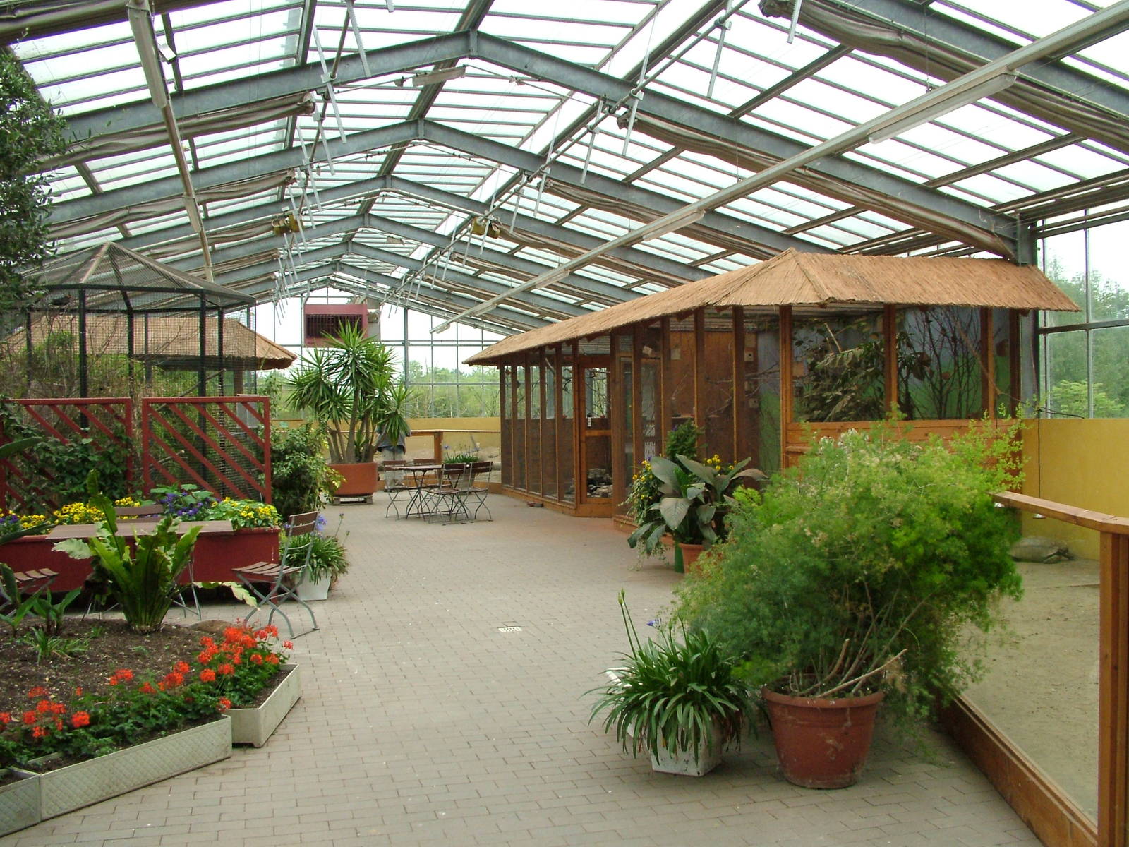 Mian greenhouse interior at Plantaria 14/05/09