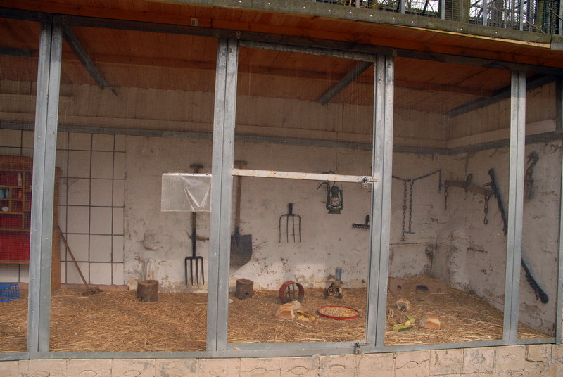 Mice exhibit at Lübeck (now closed)