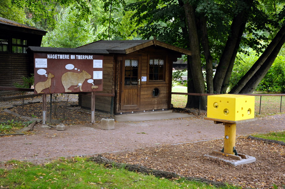 Mice-House at Dessau