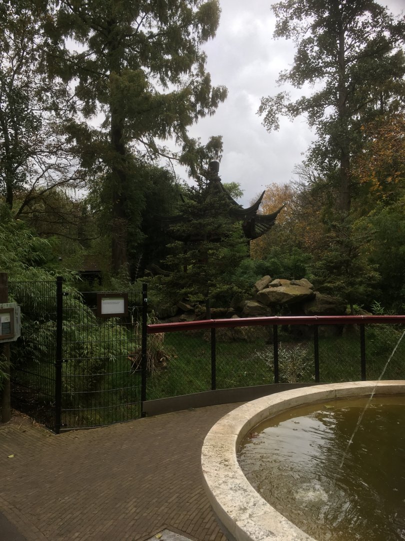 Michie’s tufted deer enclosure