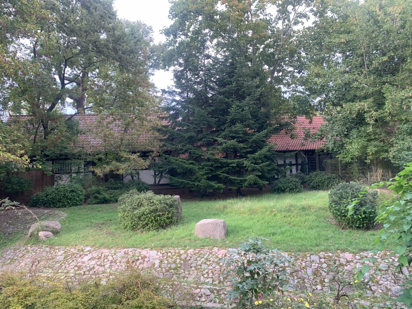 Michie's Tufted Deer enclosure