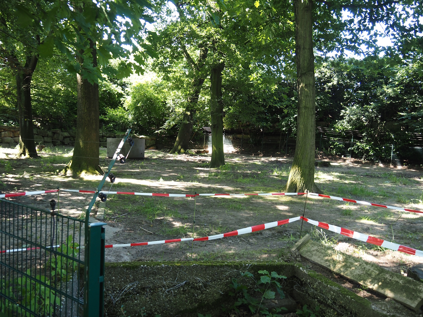 Michie's tufted deer exhibit, 2024-06-08