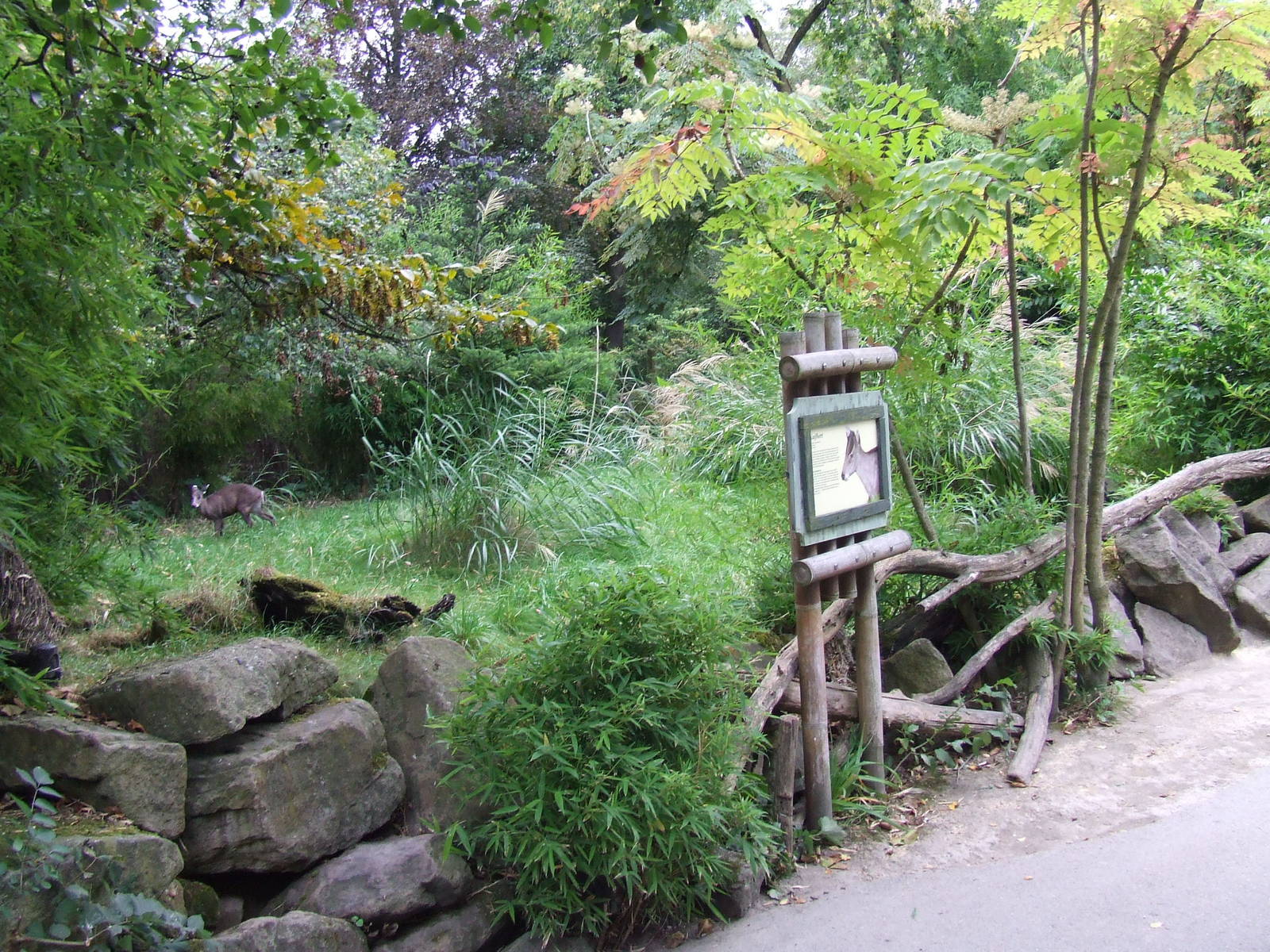 Michie's Tufted Deer exhibit