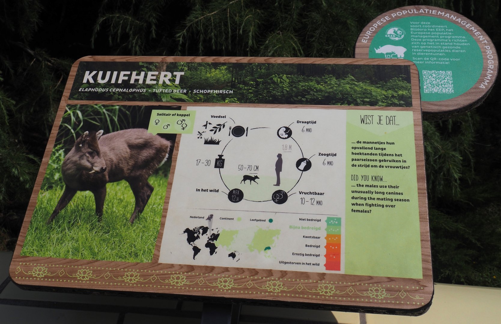 Michie's tufted deer signage, 2024-06-30