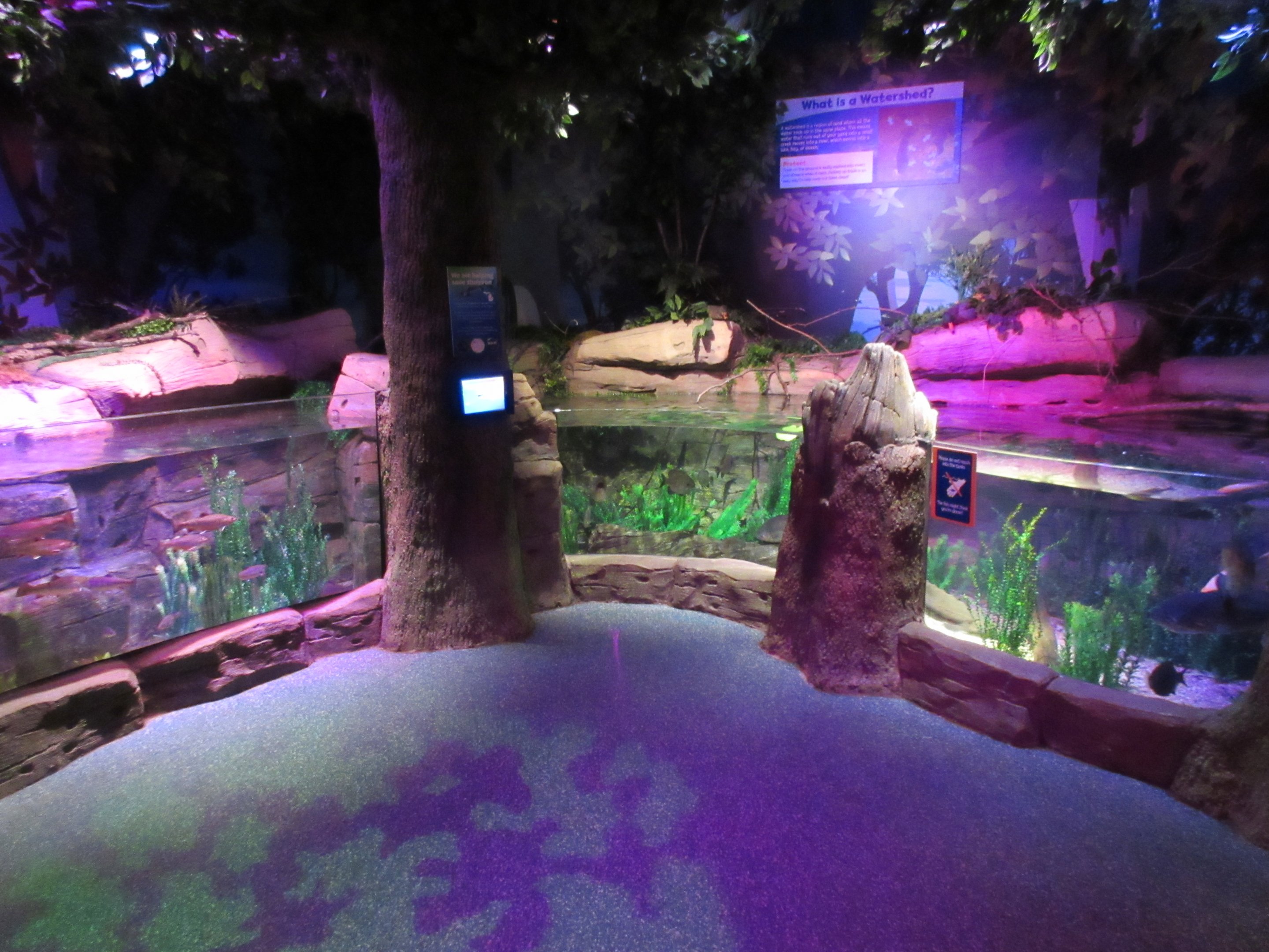 Michigan Stream Exhibit