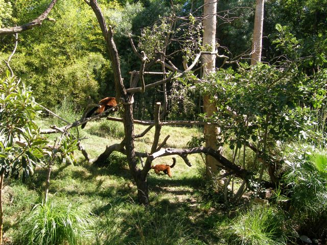 Micke Grove Zoo-Island Lost In Time