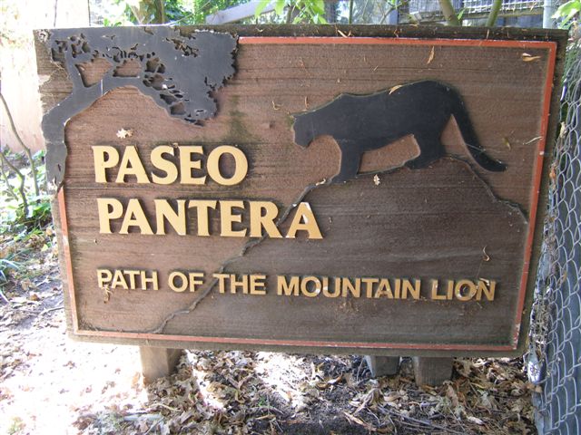 Micke Grove Zoo-Paseo Pantera