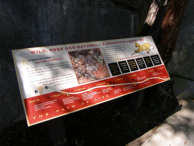 Micke Grove Zoo-Paseo Pantera