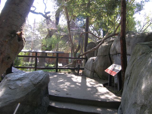 Micke Grove Zoo-Paseo Pantera