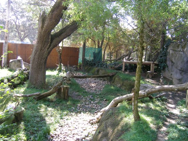 Micke Grove Zoo-Paseo Pantera