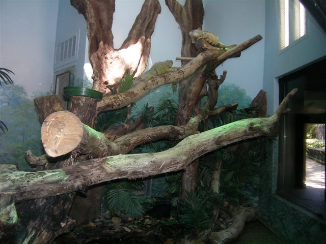 Micke Grove Zoo-Tropical Forest Canopy