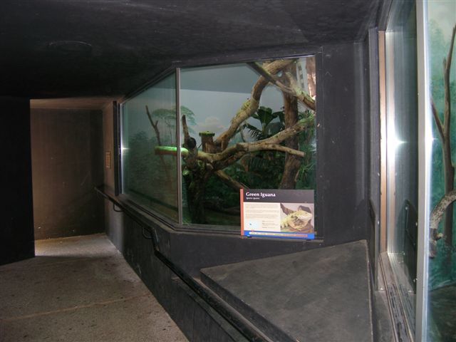 Micke Grove Zoo-Tropical Forest Canopy