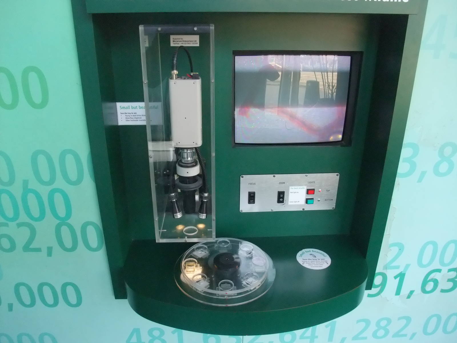 Micro Zoo at London, 16/11/11