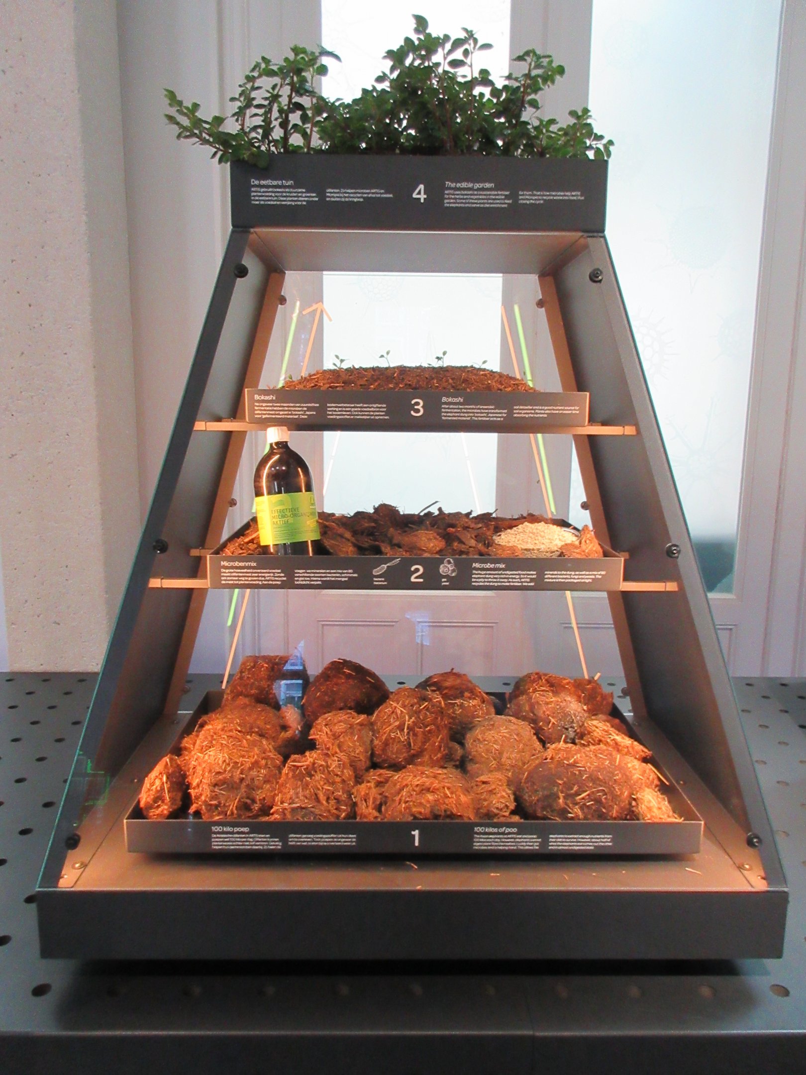 Micropia - 100 kilos of elephant poo on the bottom level