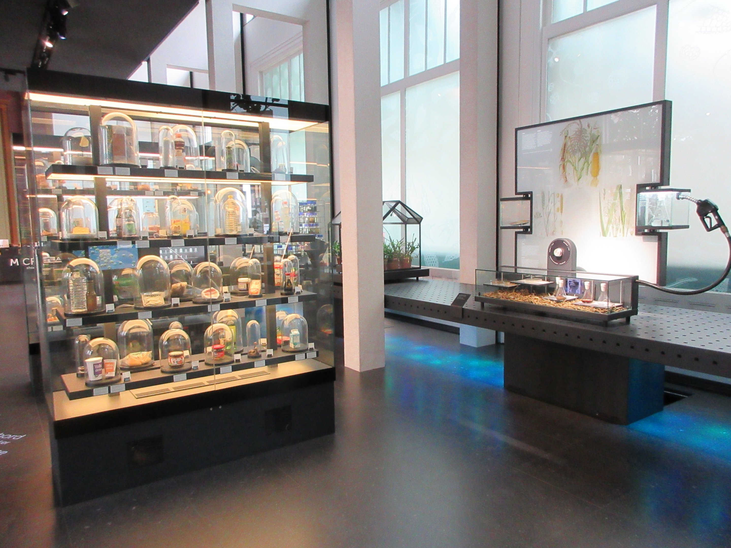 Micropia - Bottom Floor