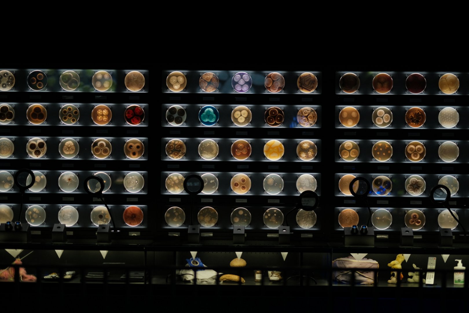 Micropia - Wall of Giant Petri Dishes