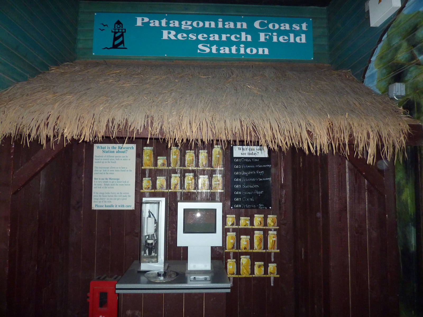 Microscope station - 24th August 2012.