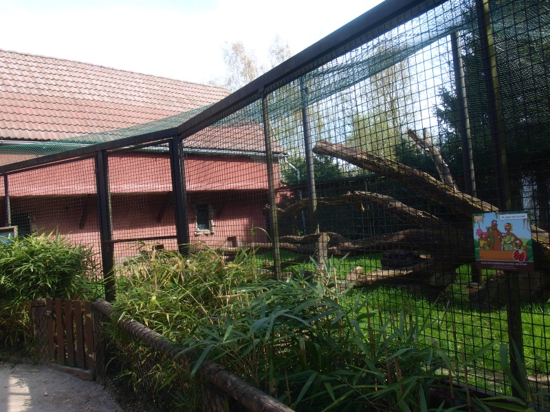 Mid-African leopard cage 2 (April 19th, 2015)