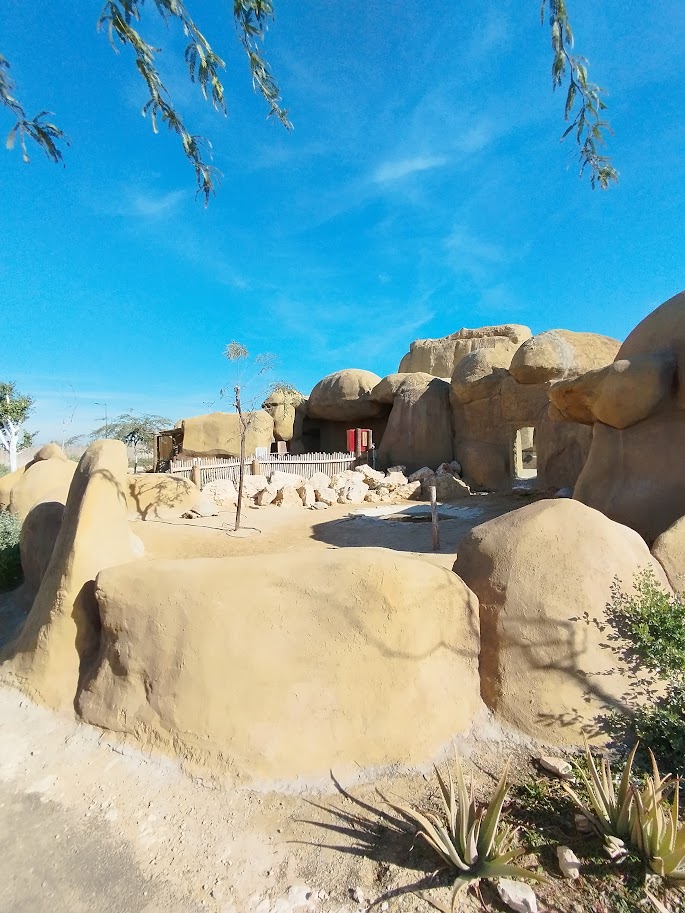 Midbarium - African Spurred Tortoise