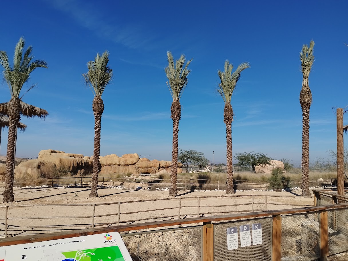 Midbarium - First view of the savannah with a view to the lion enclosure