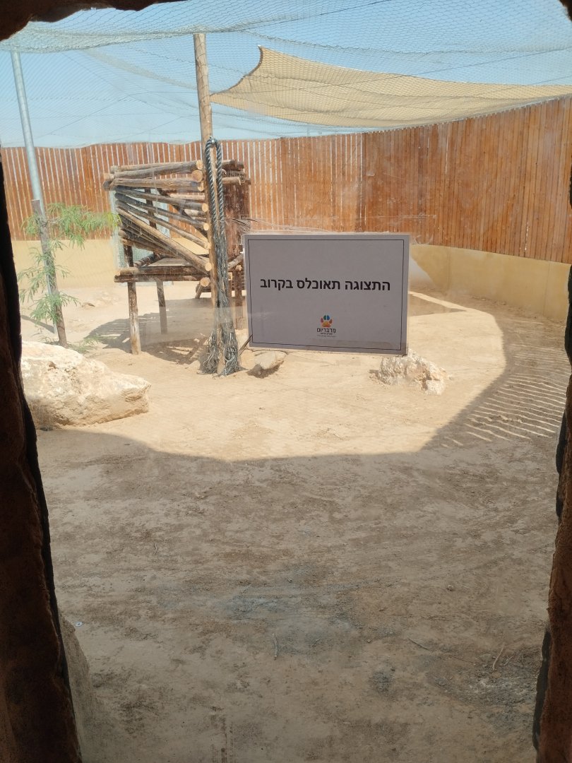 Midbarium - future caracal enclosure