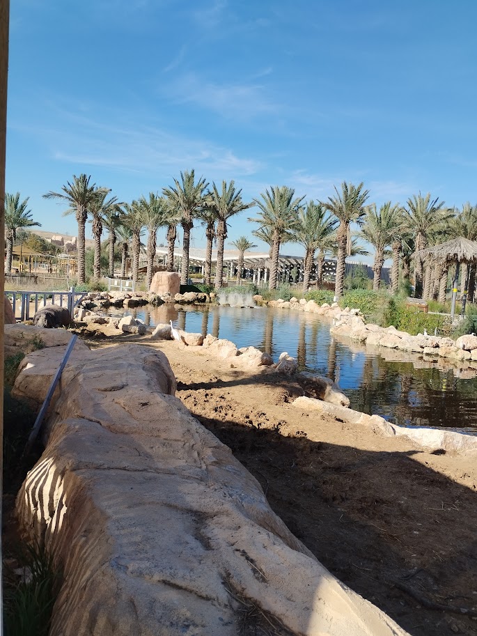 Midbarium - Hippopotamus 2