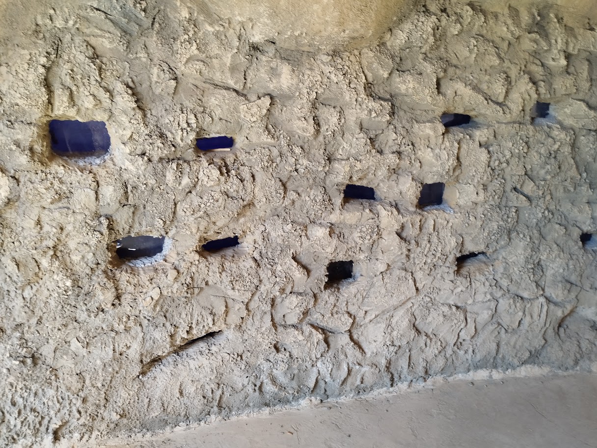 Midbarium - Naked Mole-rat