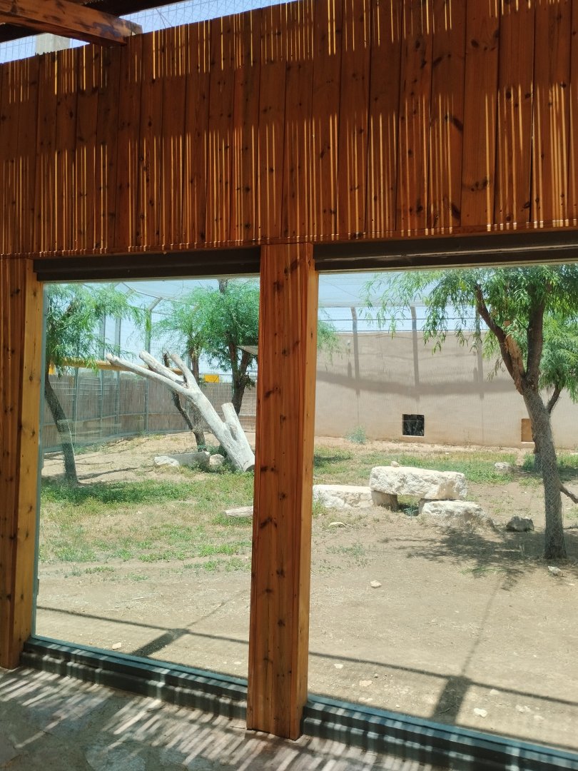 Midbarium - Persian Leopard pt.1