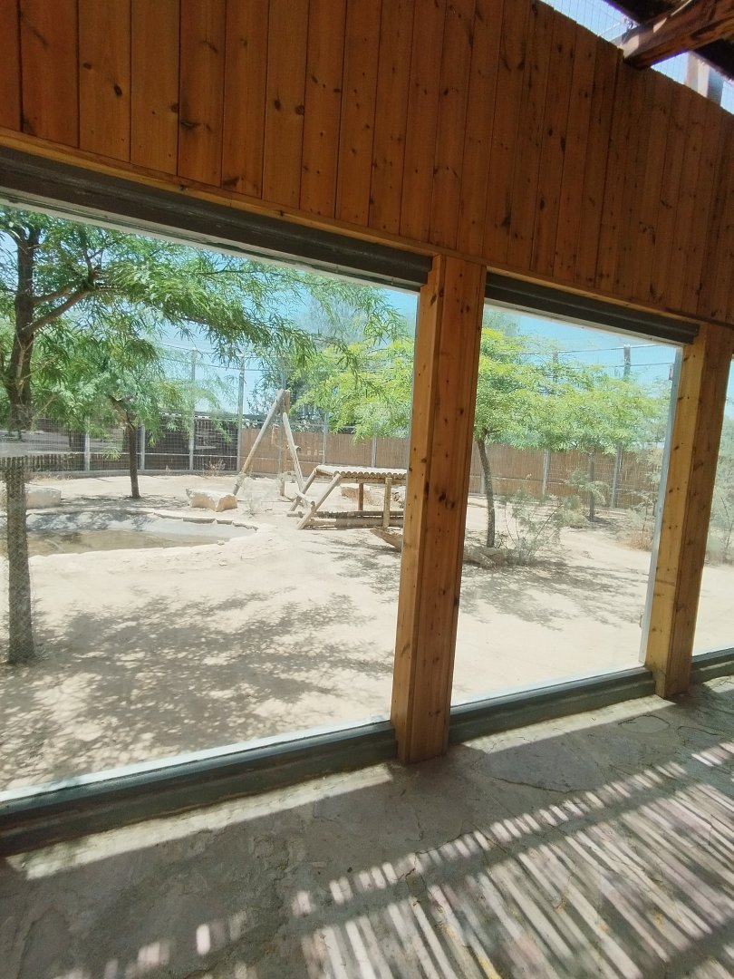 Midbarium - Persian Leopard pt.3