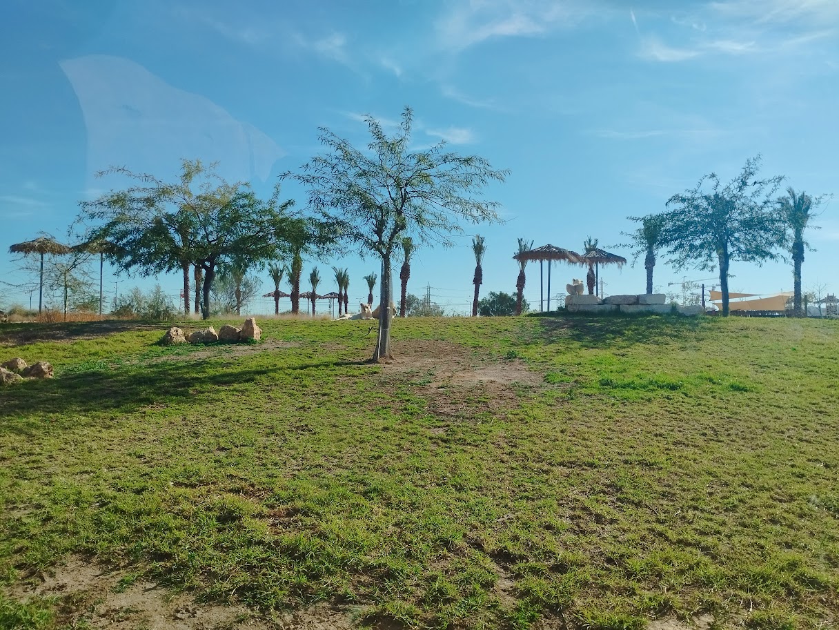 Midbarium - White Lion Second view