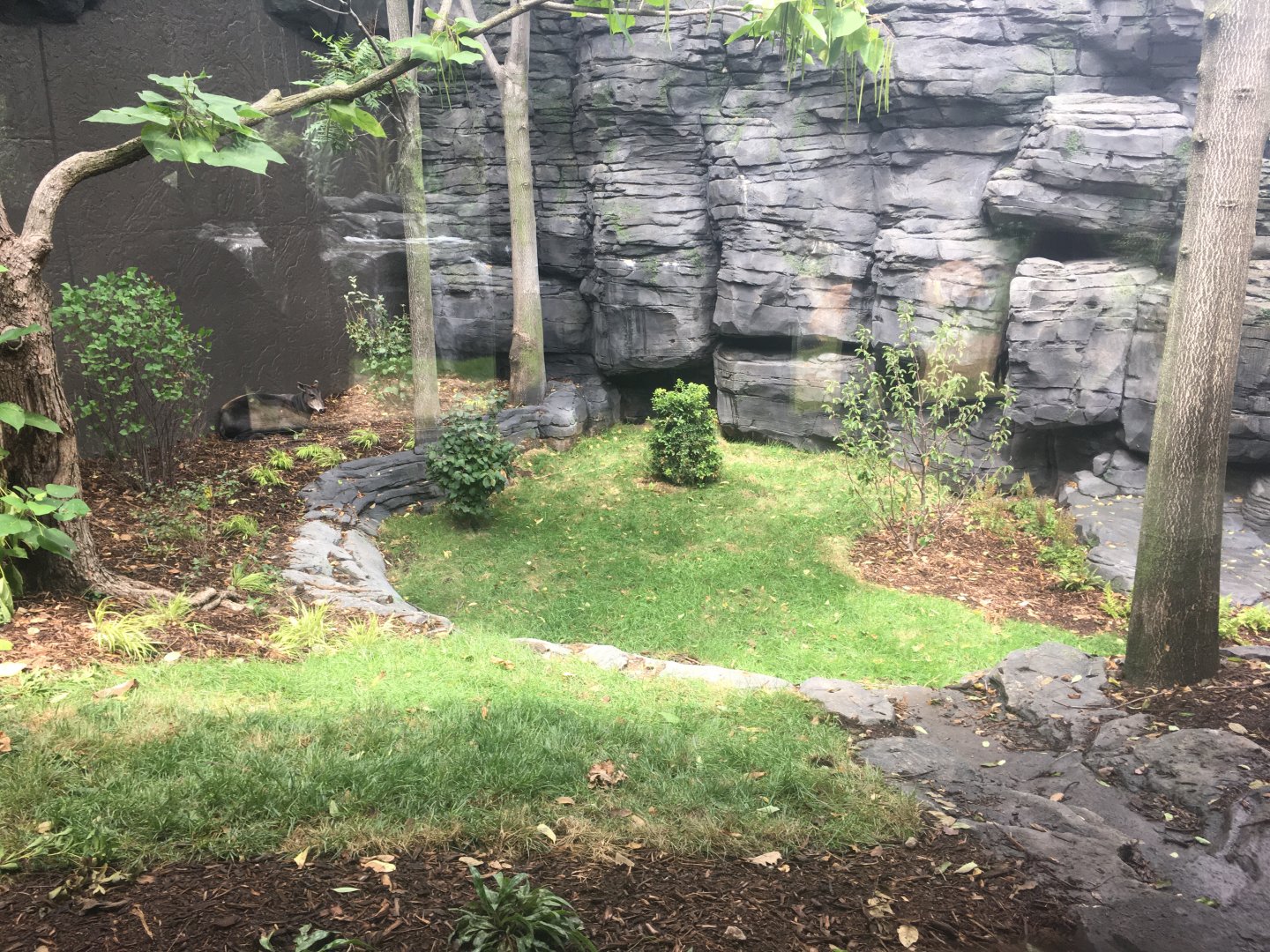 Middle Exhibit Top Portion