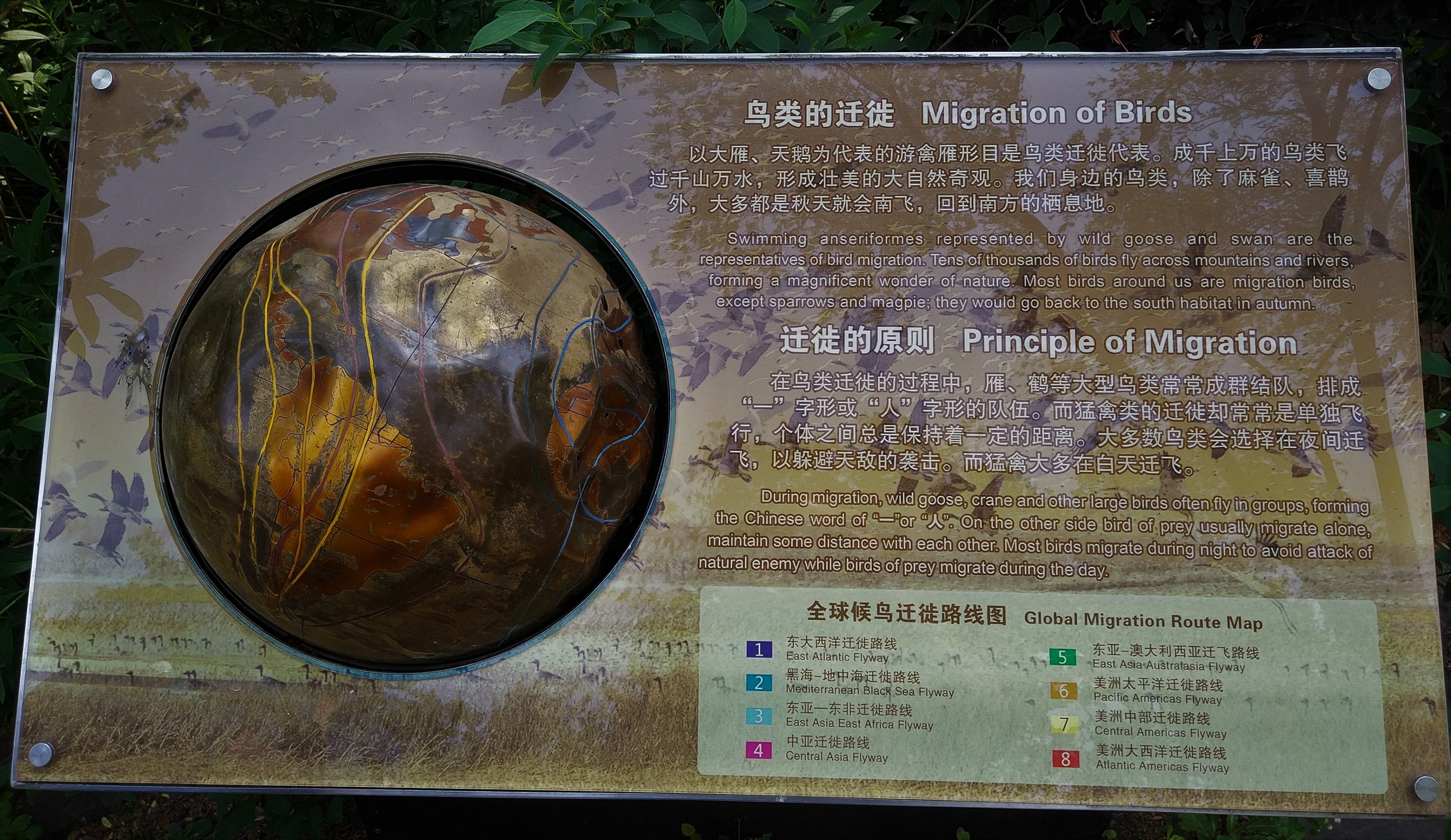 Migration Interpretation