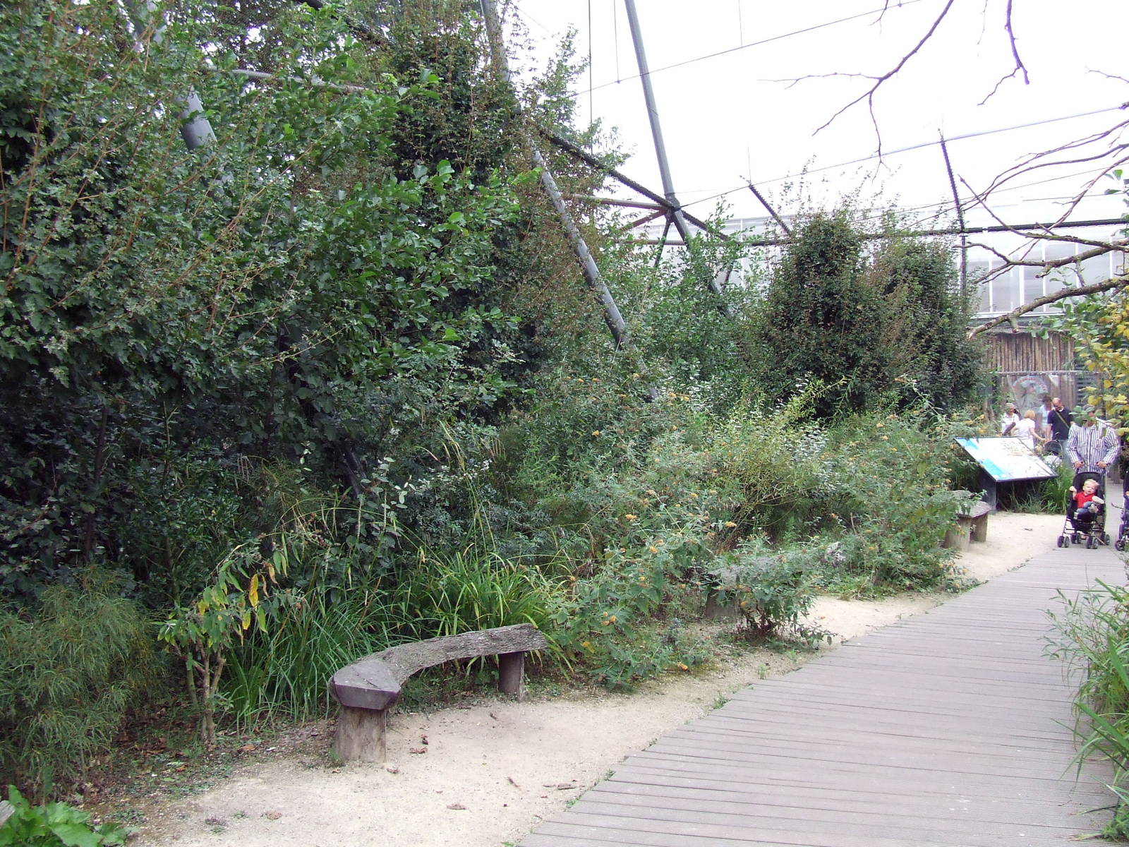 Migratory Birds aviary photos, Wetlands
